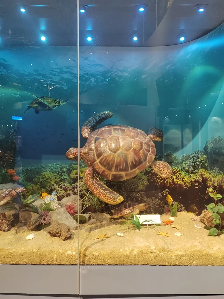 Adana Biyolojik Çeşitlilik Müzesi